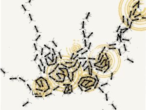 Illustré par Lisa Evequoz